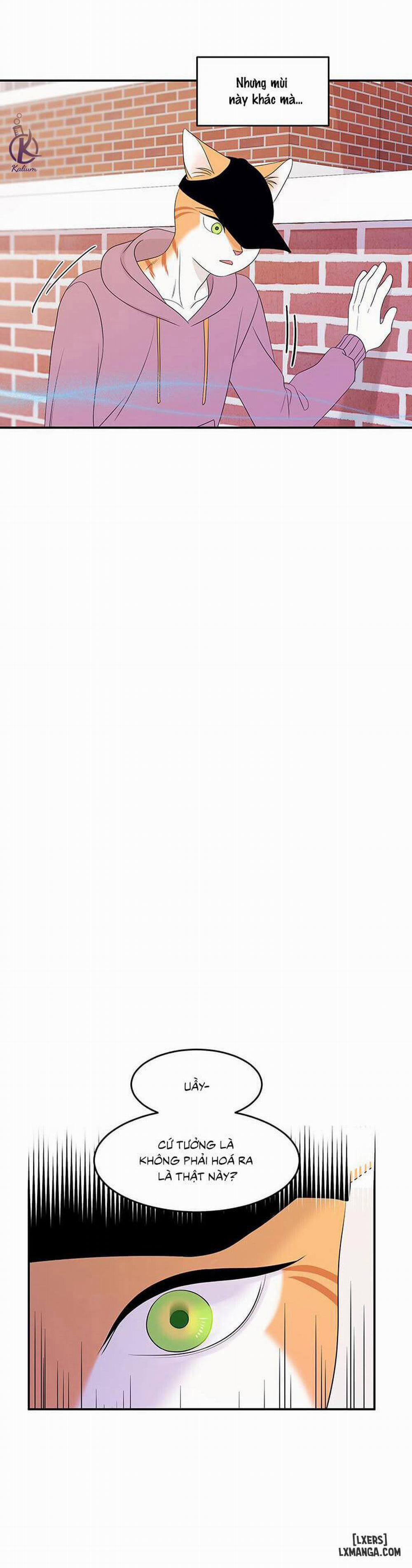 Dự án xanh 13 trang 3