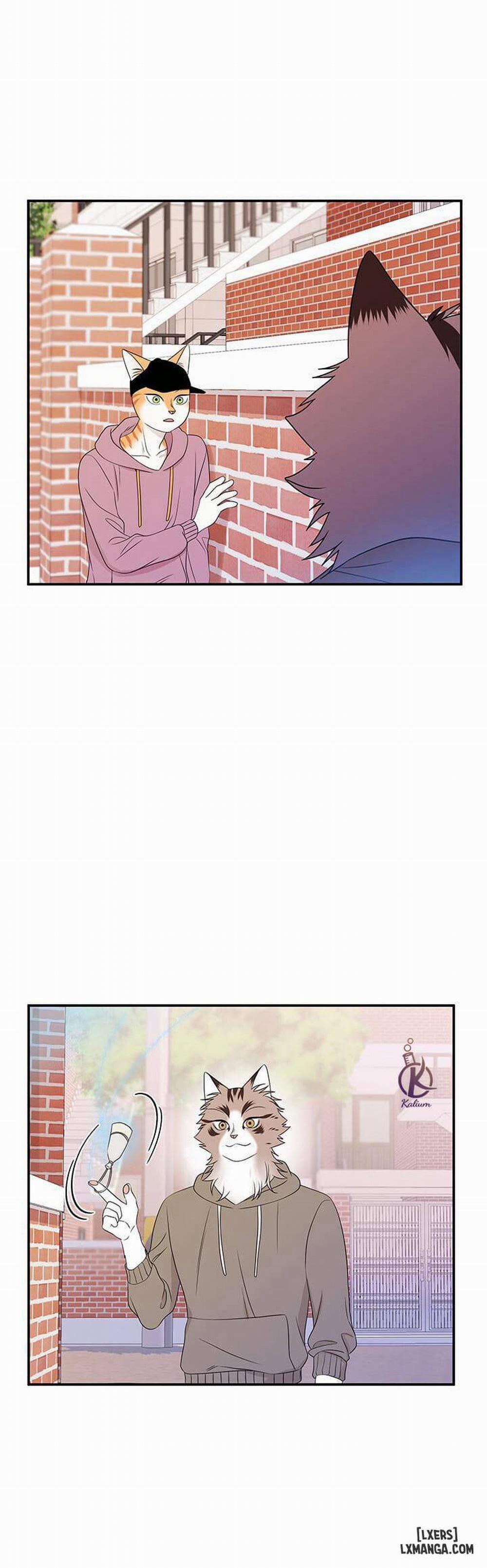 Dự án xanh 13 trang 4