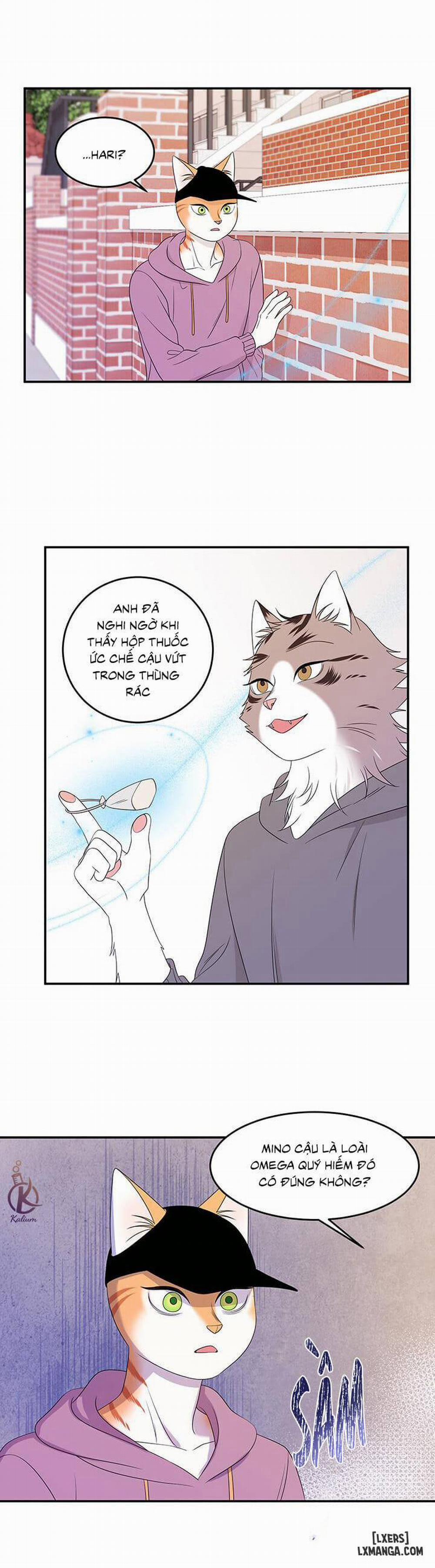 Dự án xanh 13 trang 5