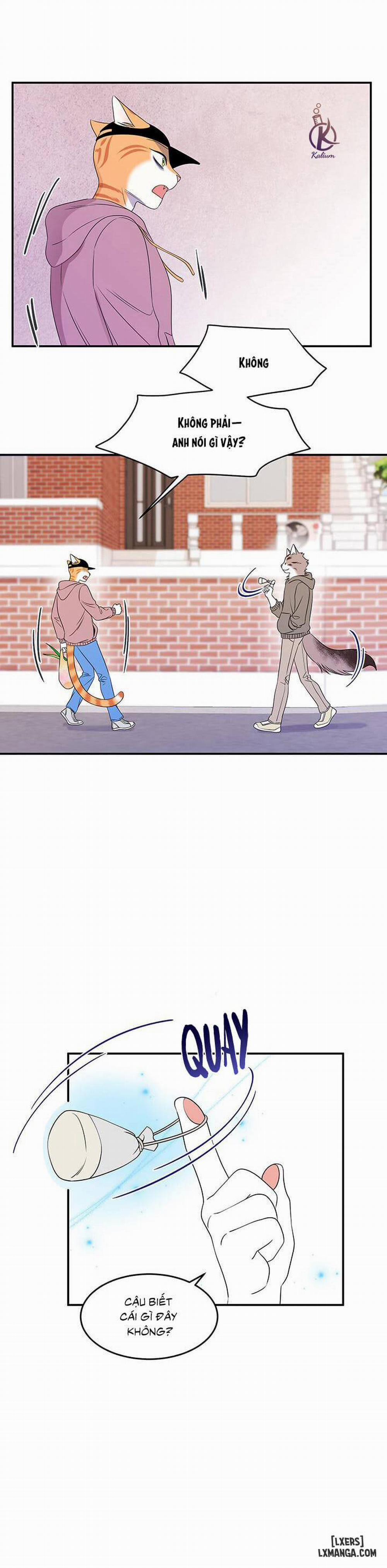 Dự án xanh 13 trang 6