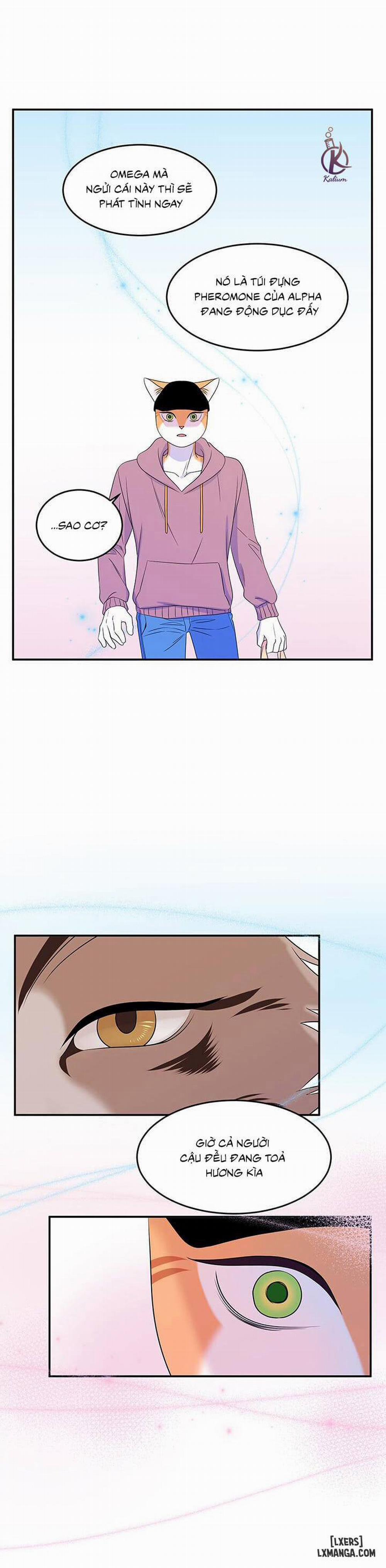 Dự án xanh 13 trang 7