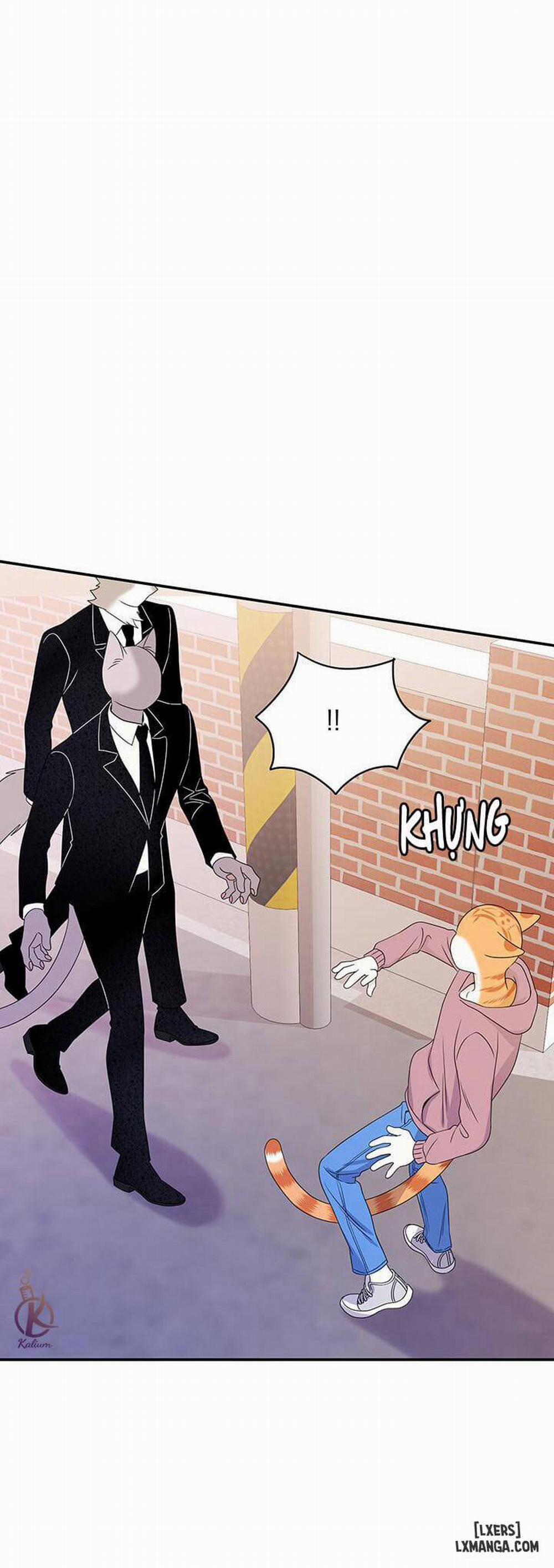 Dự án xanh 13 trang 9