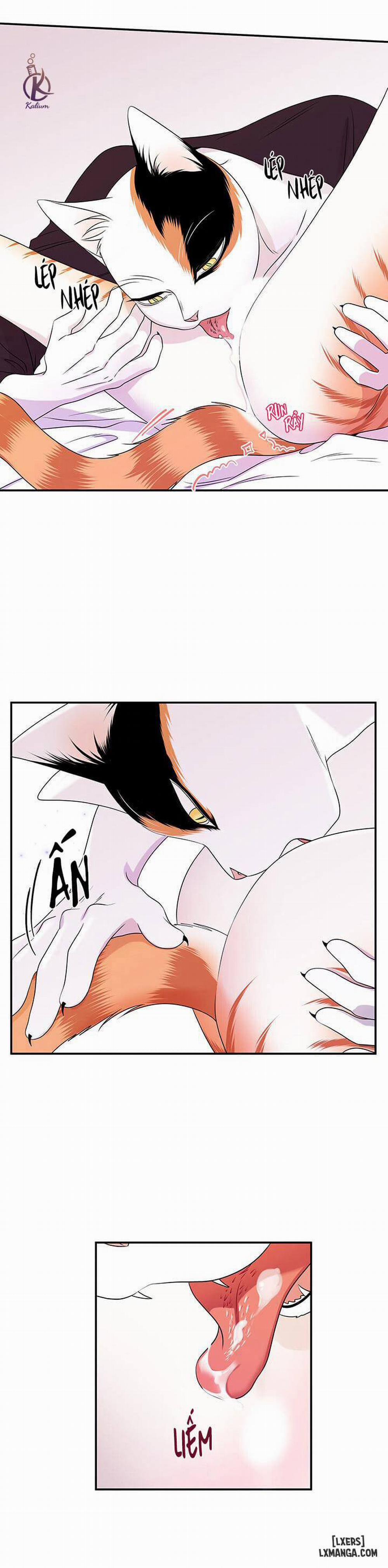 Dự án xanh 14 trang 10