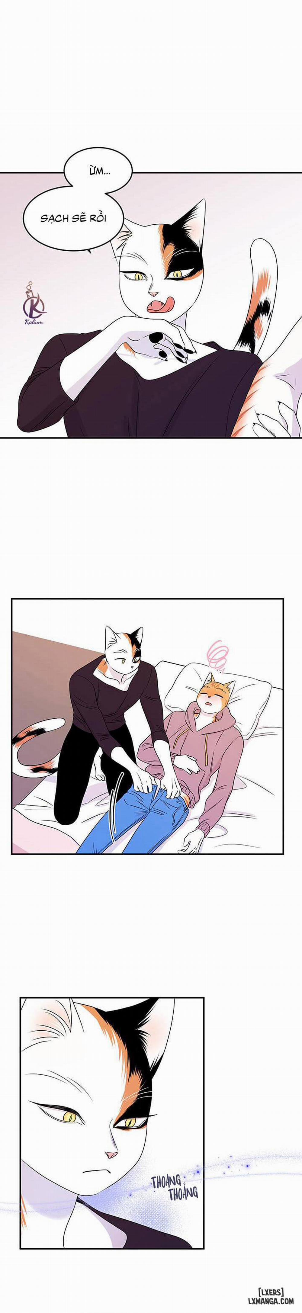 Dự án xanh 14 trang 11