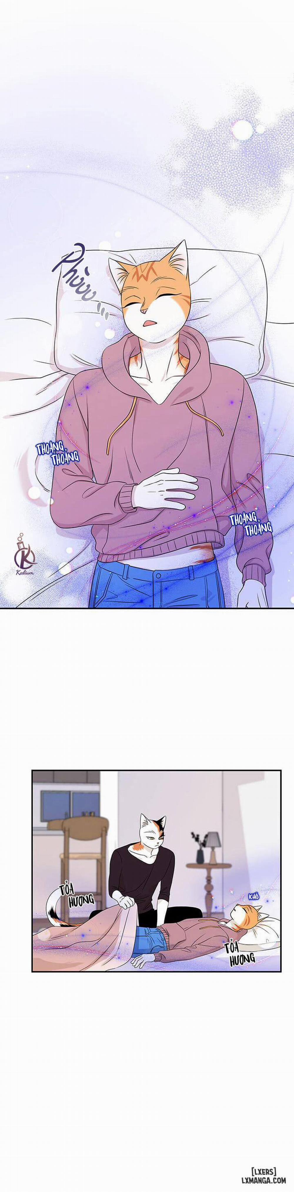 Dự án xanh 14 trang 12