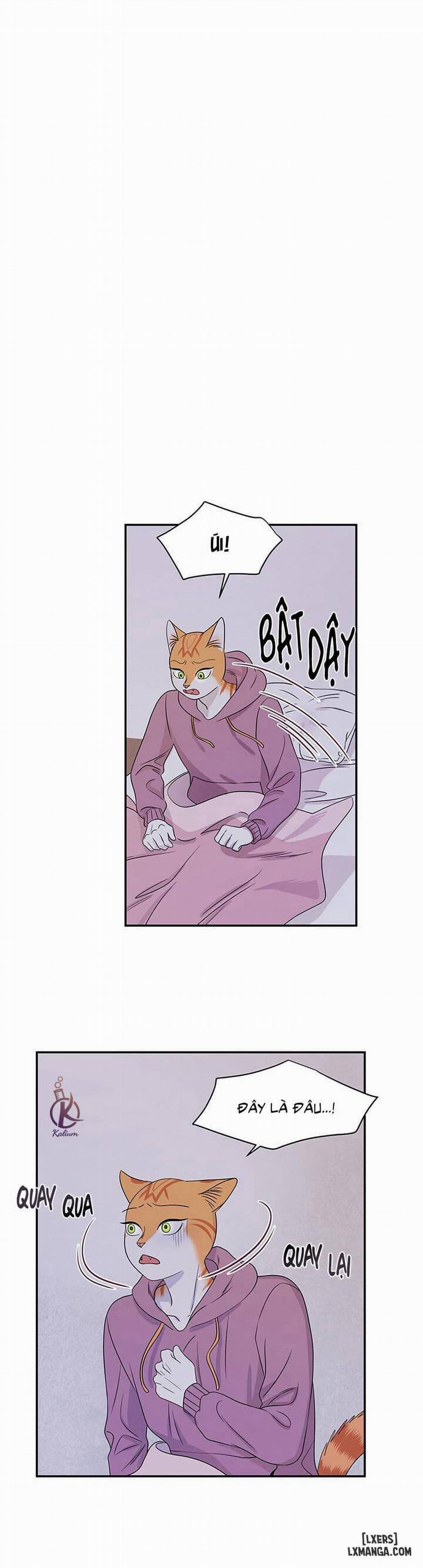 Dự án xanh 14 trang 14