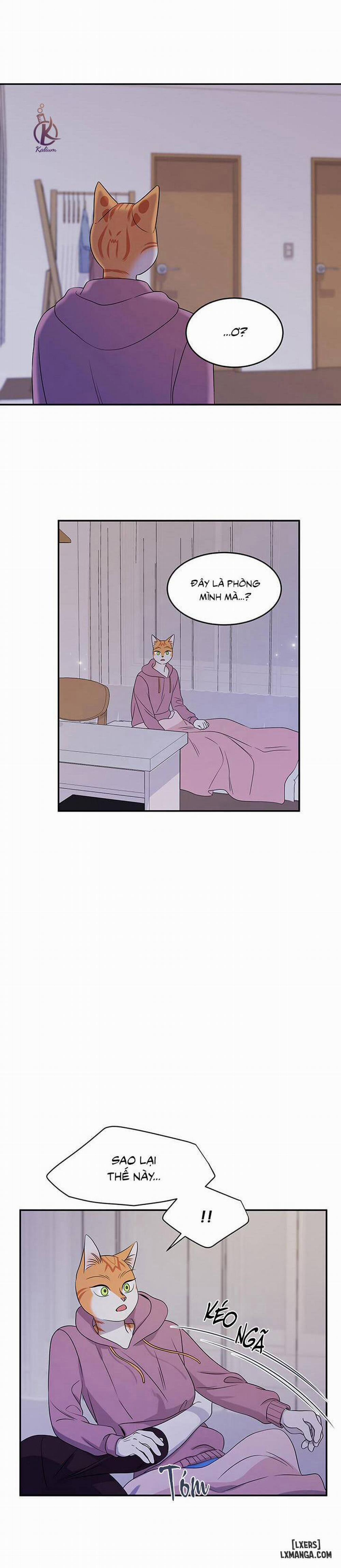 Dự án xanh 14 trang 15