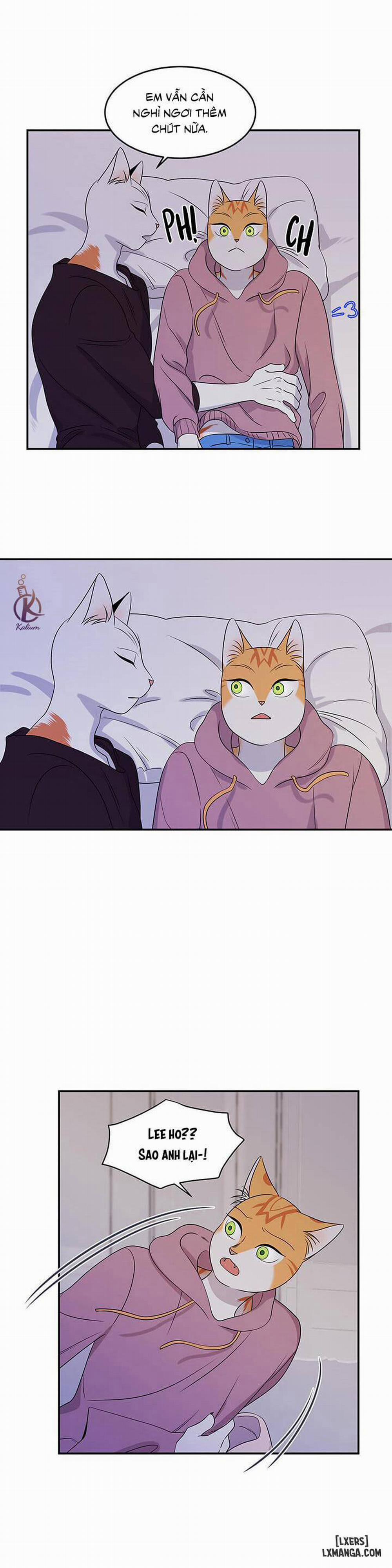 Dự án xanh 14 trang 16