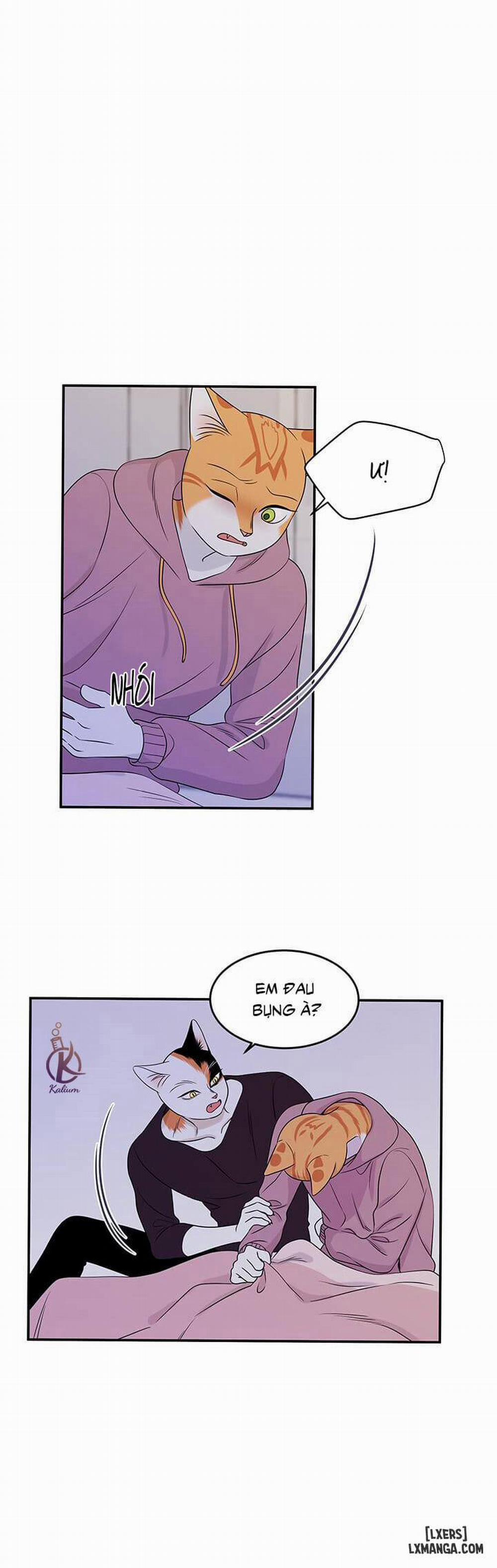 Dự án xanh 14 trang 17