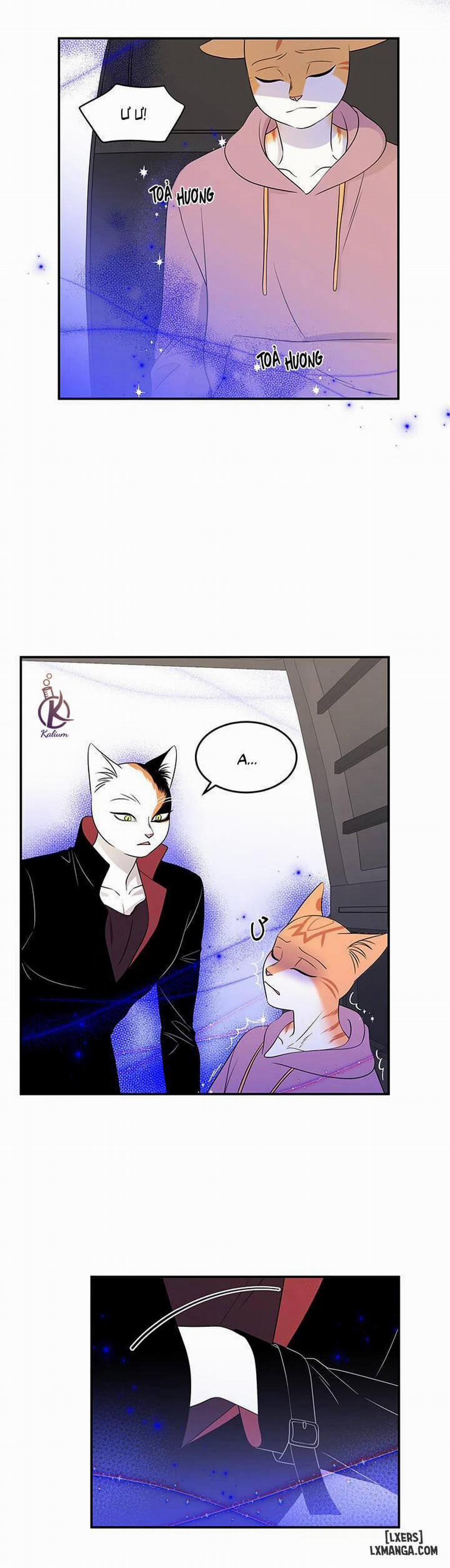 Dự án xanh 14 trang 2