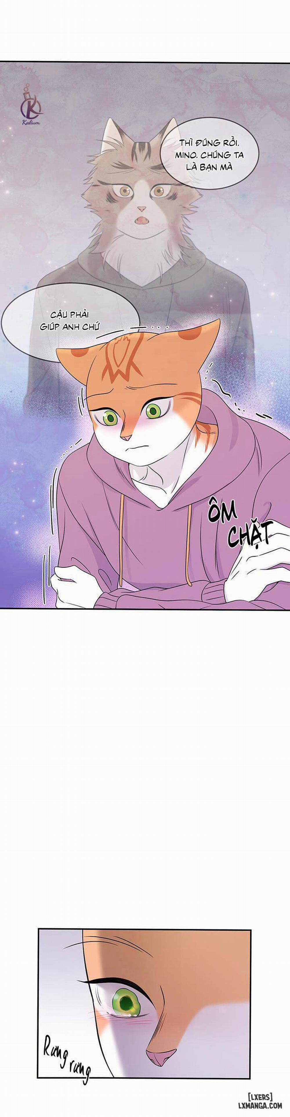 Dự án xanh 14 trang 20