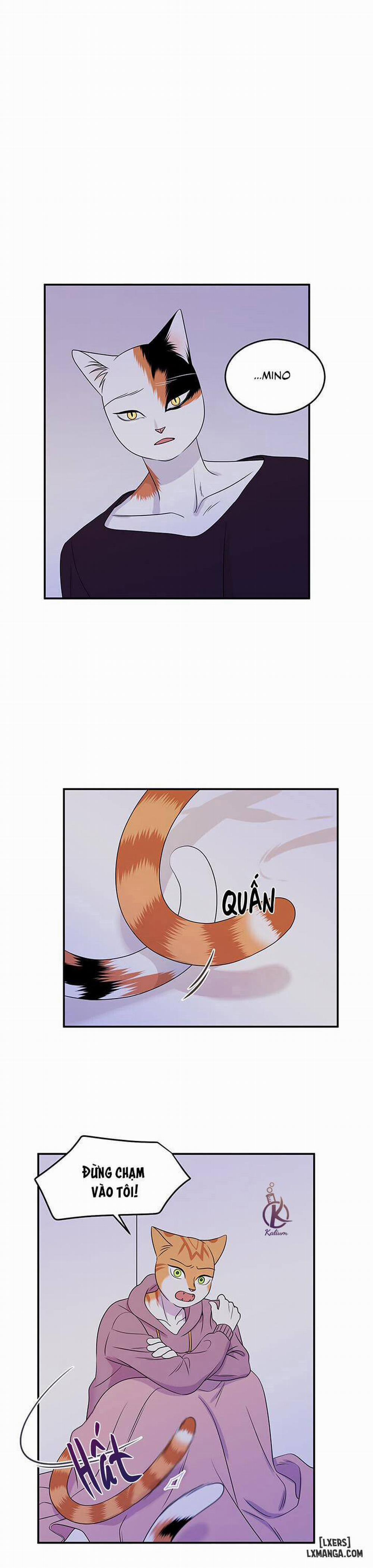 Dự án xanh 14 trang 22