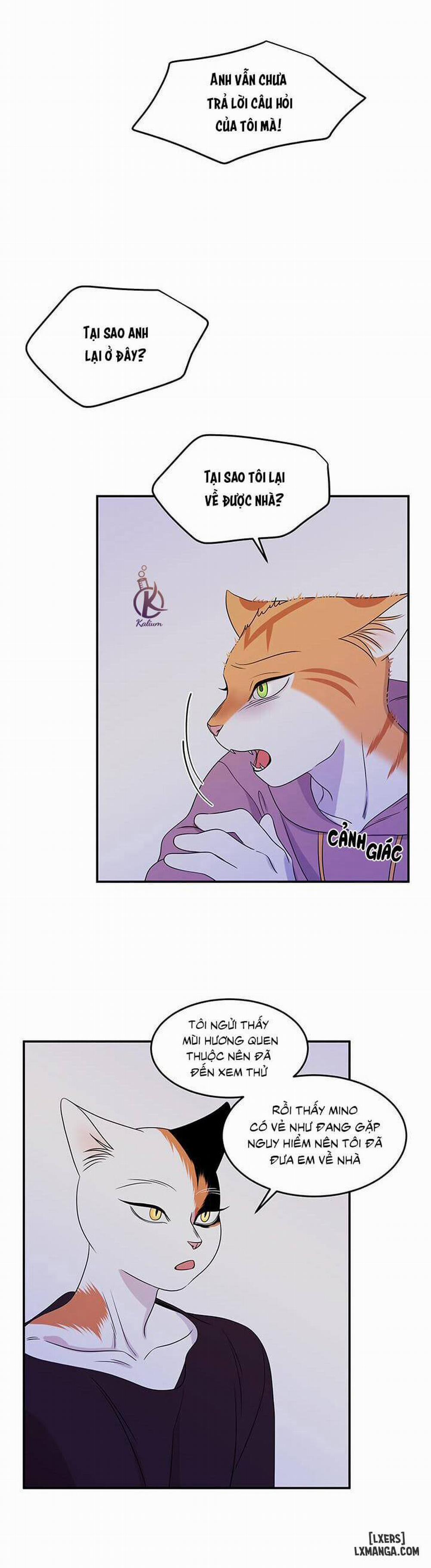 Dự án xanh 14 trang 23