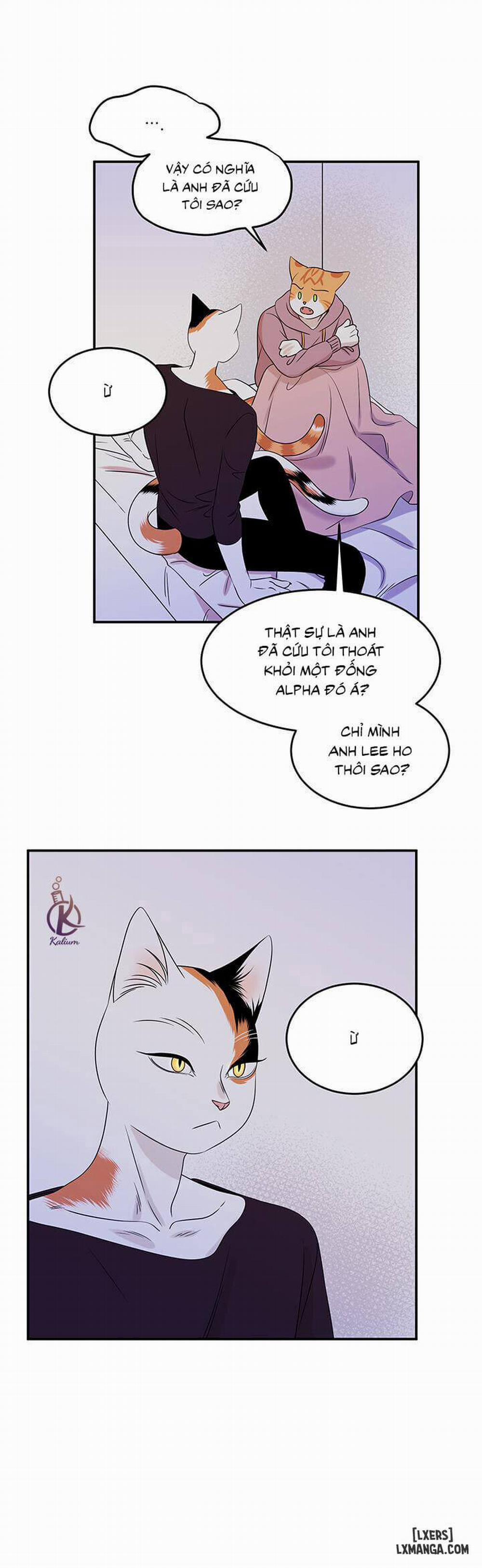 Dự án xanh 14 trang 24