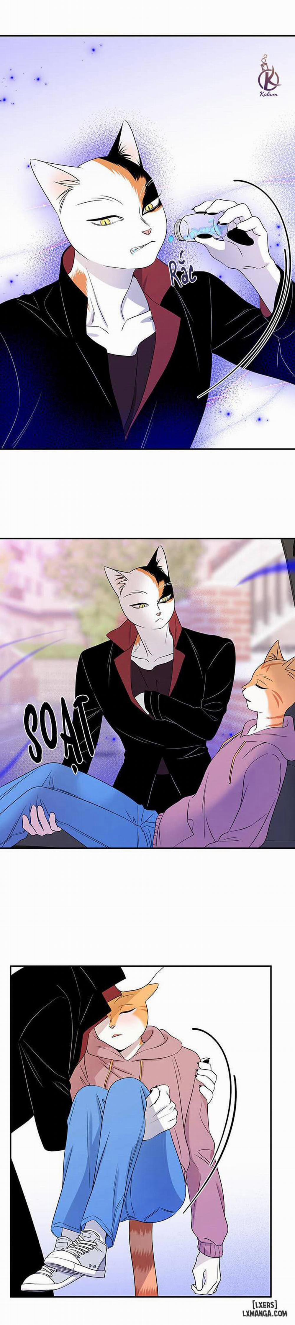 Dự án xanh 14 trang 3