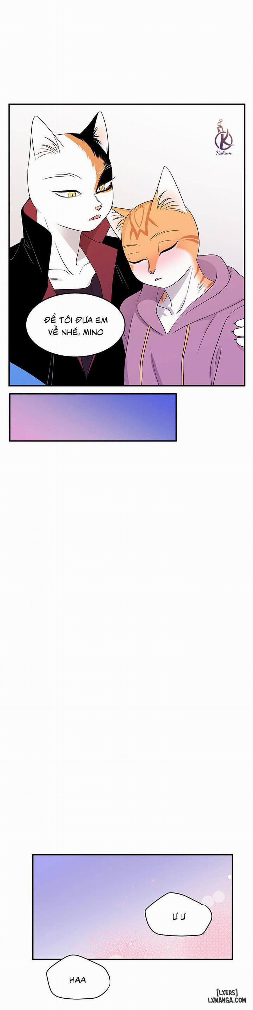 Dự án xanh 14 trang 4