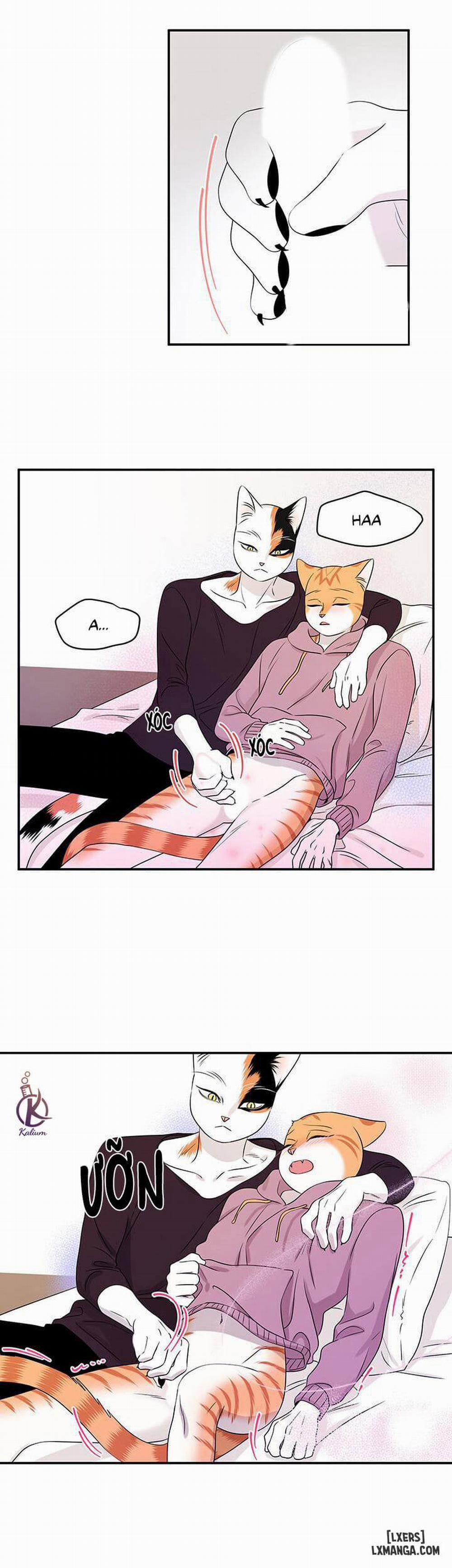 Dự án xanh 14 trang 5