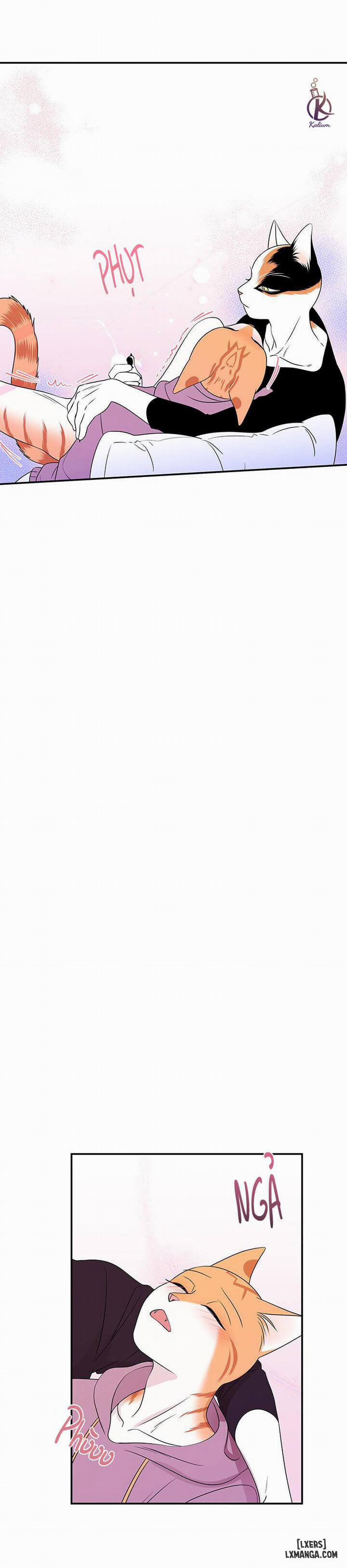 Dự án xanh 14 trang 8