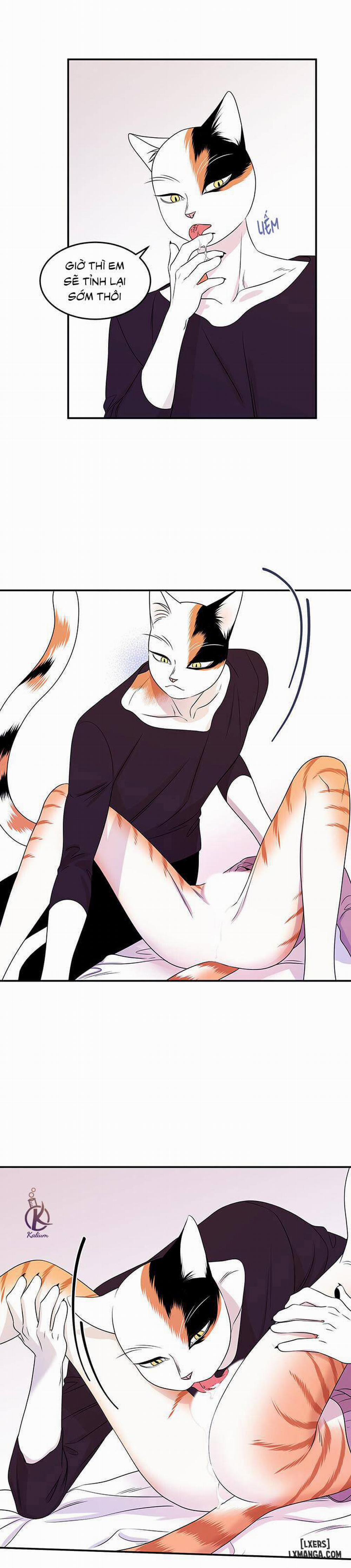 Dự án xanh 14 trang 9