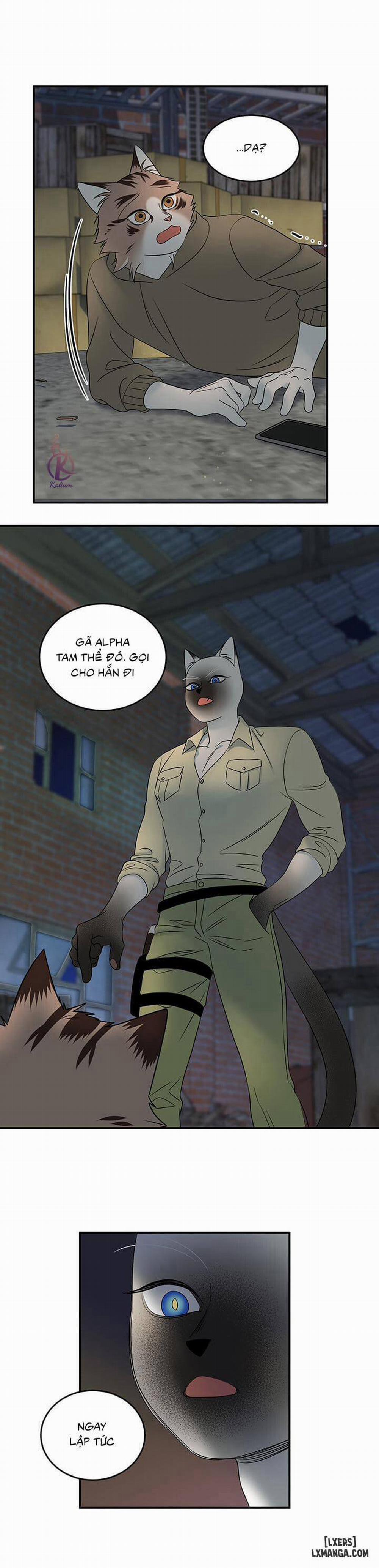 Dự án xanh 15 trang 11