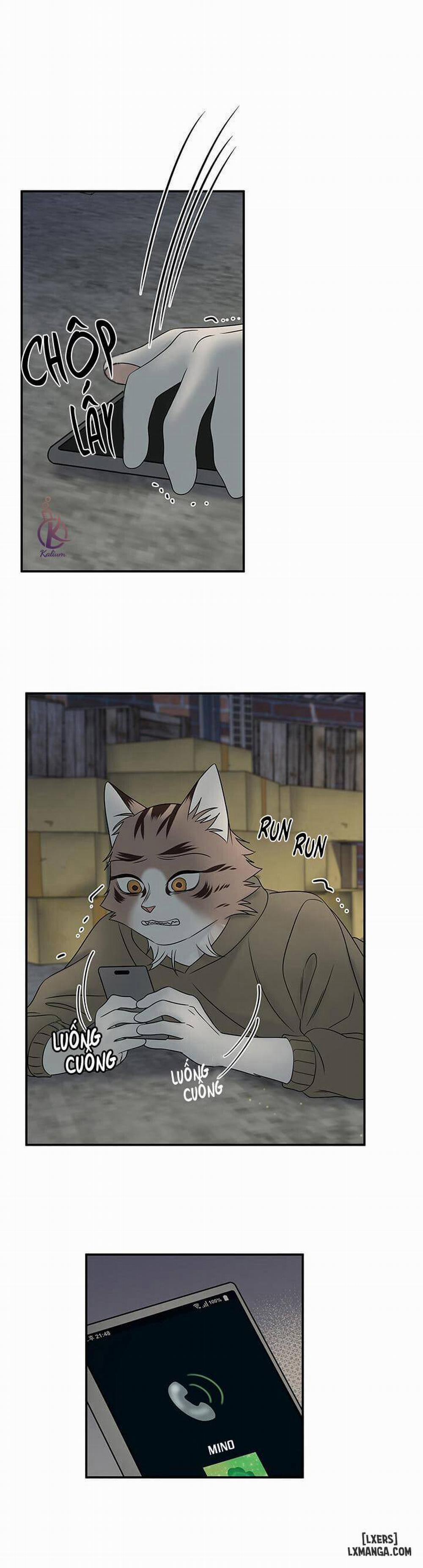 Dự án xanh 15 trang 12