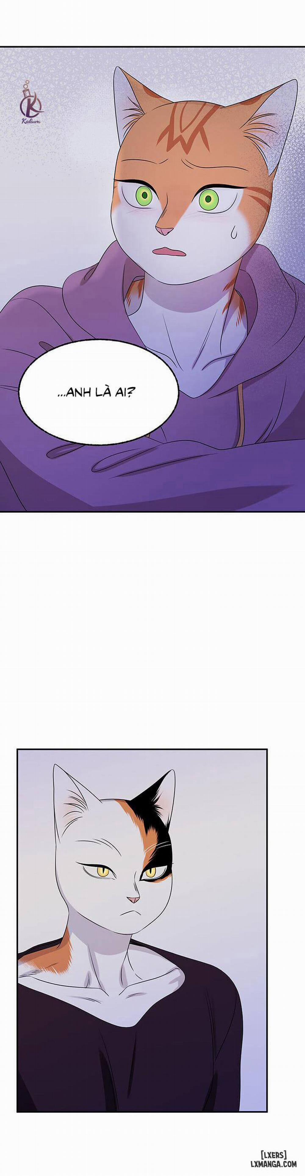 Dự án xanh 15 trang 14