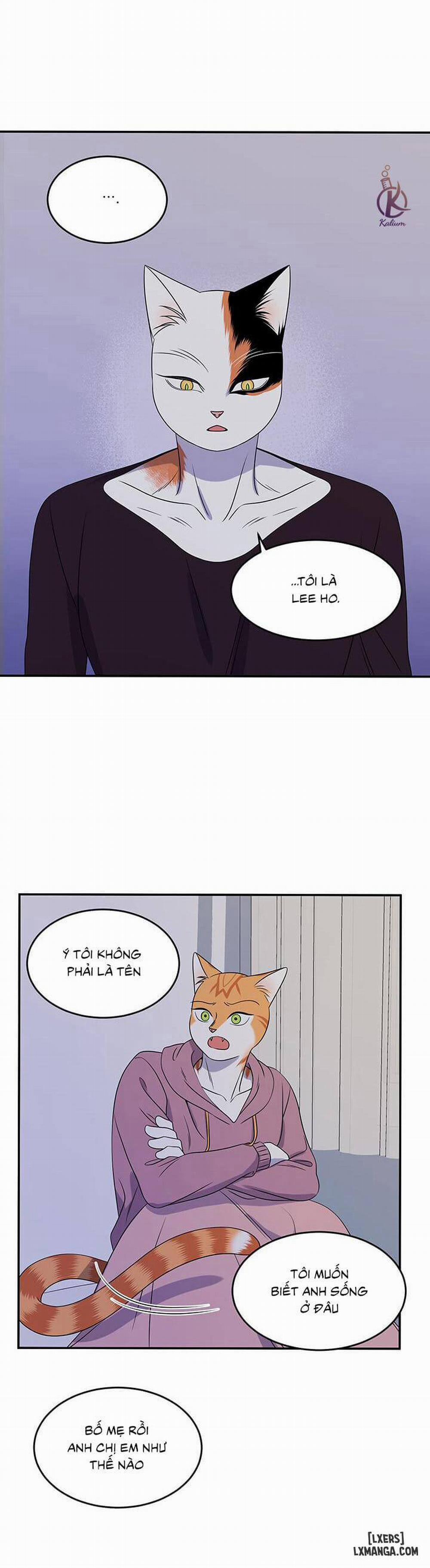 Dự án xanh 15 trang 15