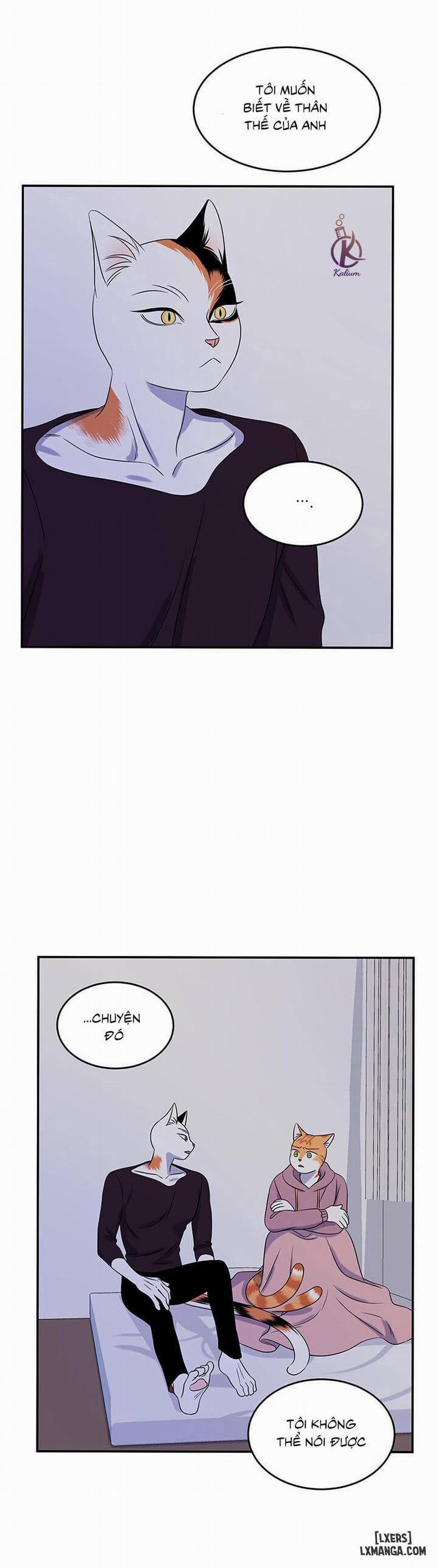 Dự án xanh 15 trang 16