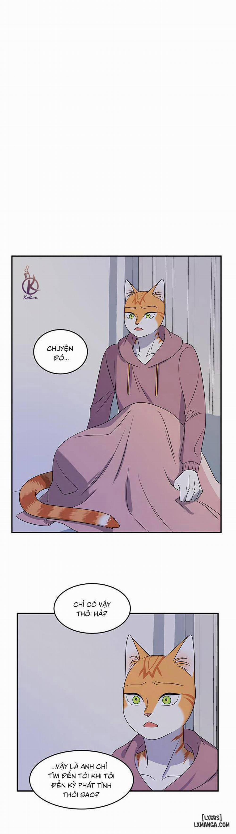 Dự án xanh 15 trang 19