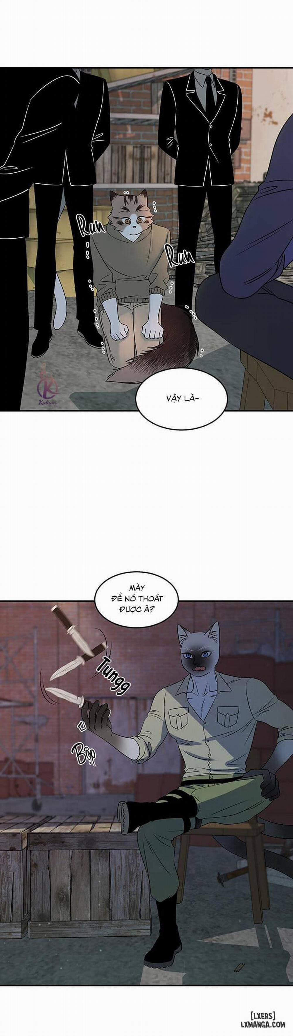 Dự án xanh 15 trang 2