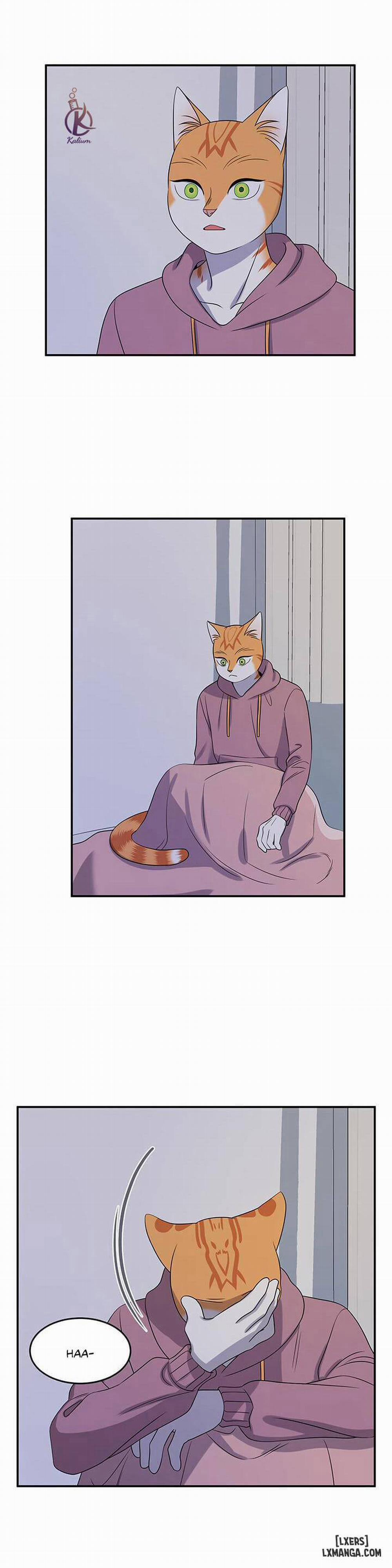 Dự án xanh 15 trang 21