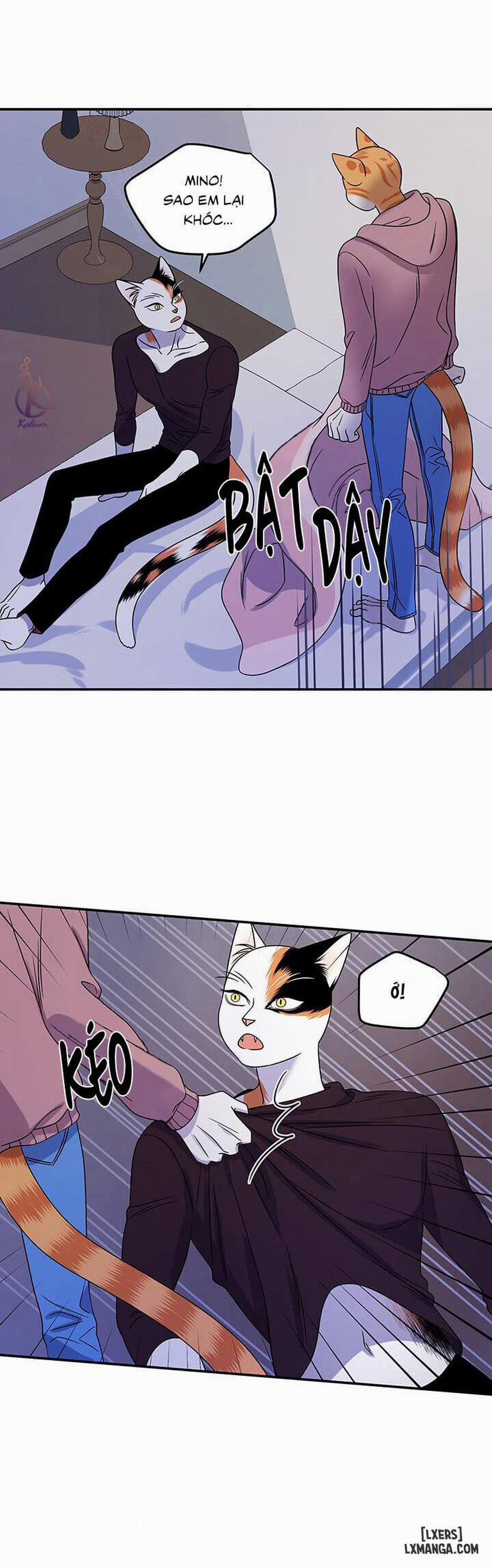 Dự án xanh 15 trang 24