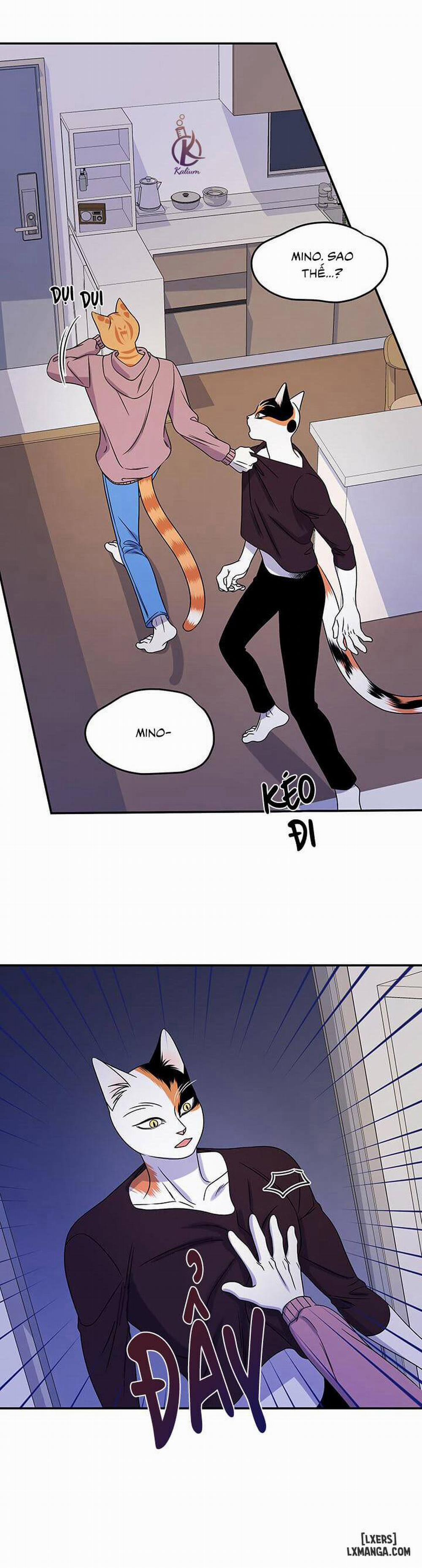 Dự án xanh 15 trang 25