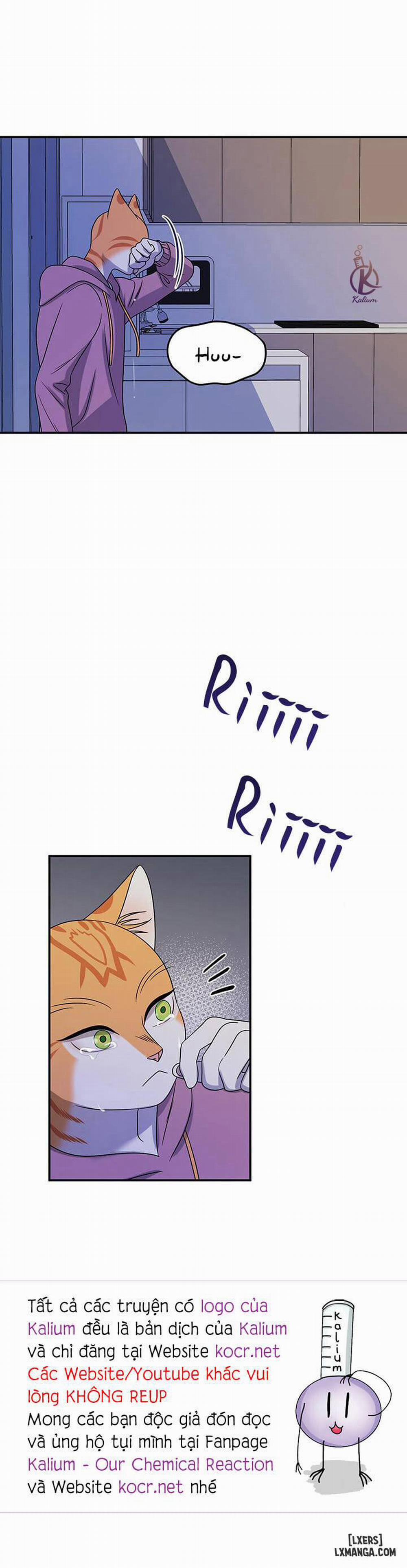 Dự án xanh 15 trang 27