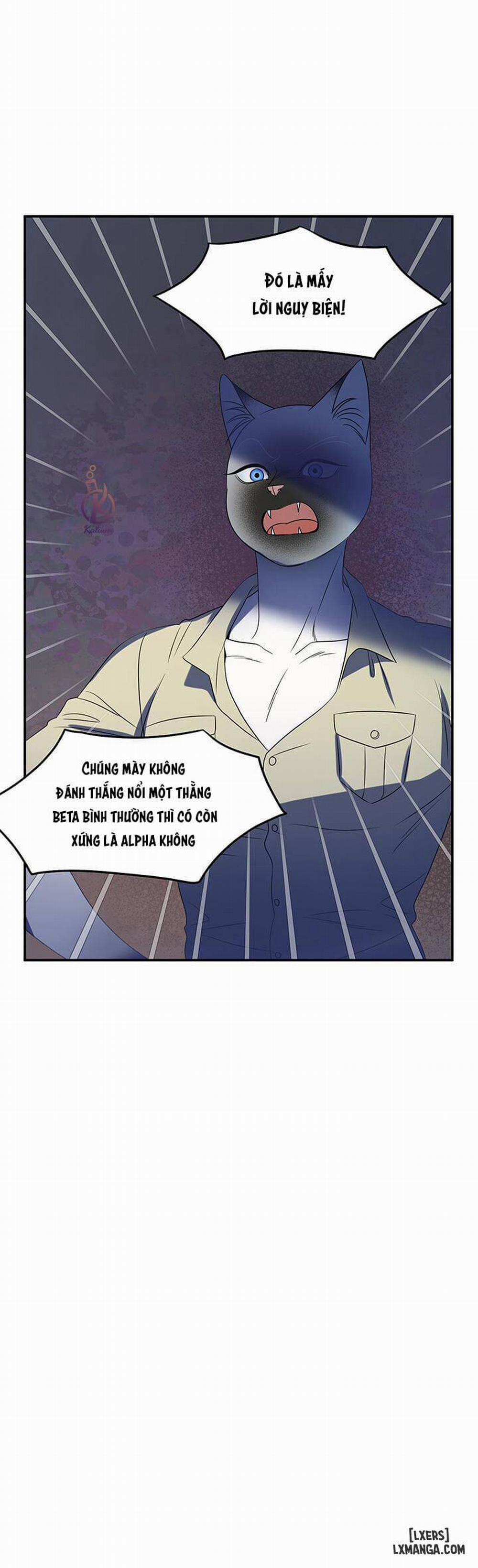 Dự án xanh 15 trang 4