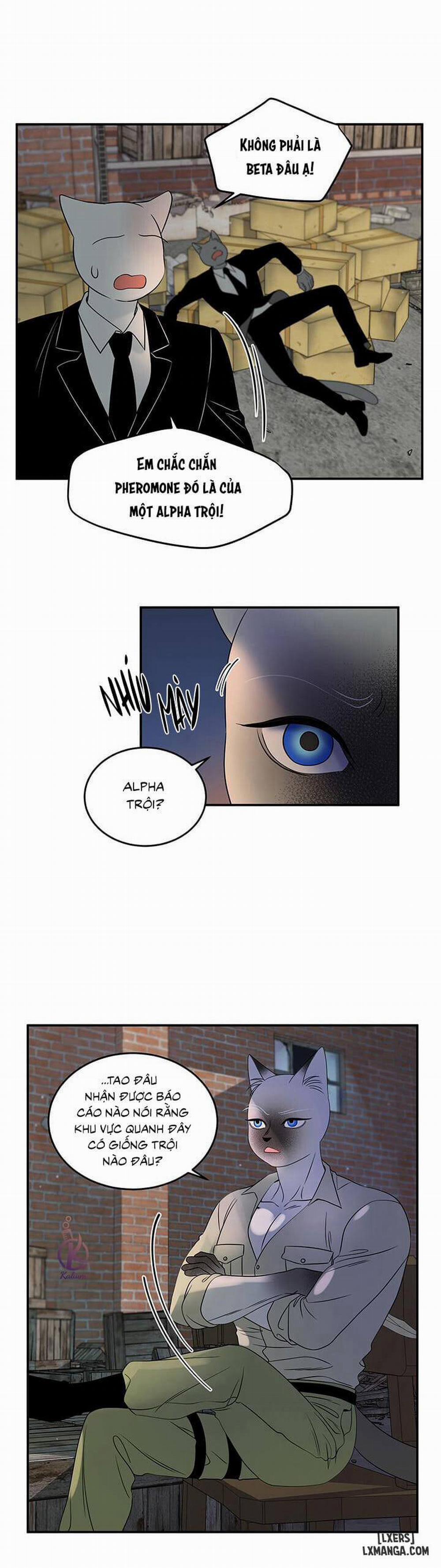 Dự án xanh 15 trang 5