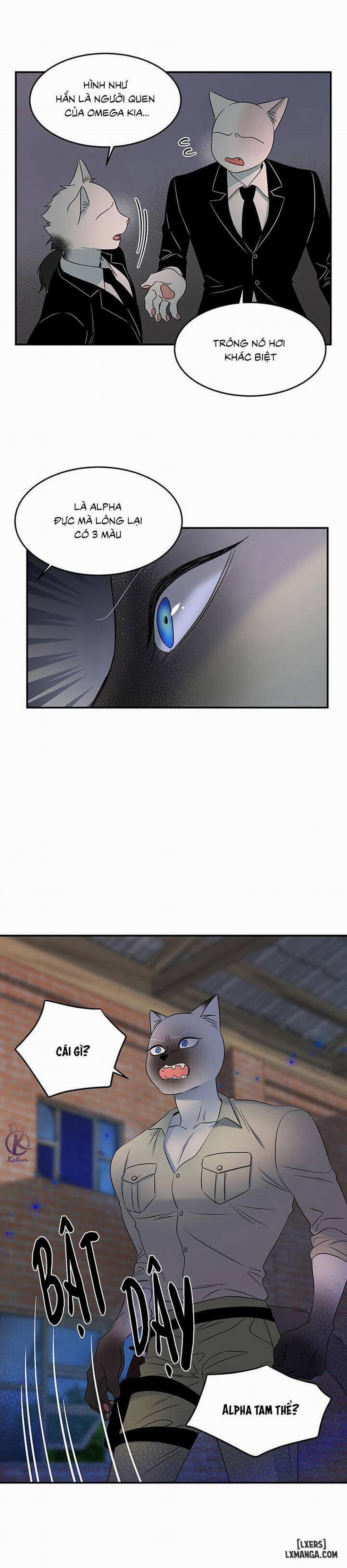 Dự án xanh 15 trang 6