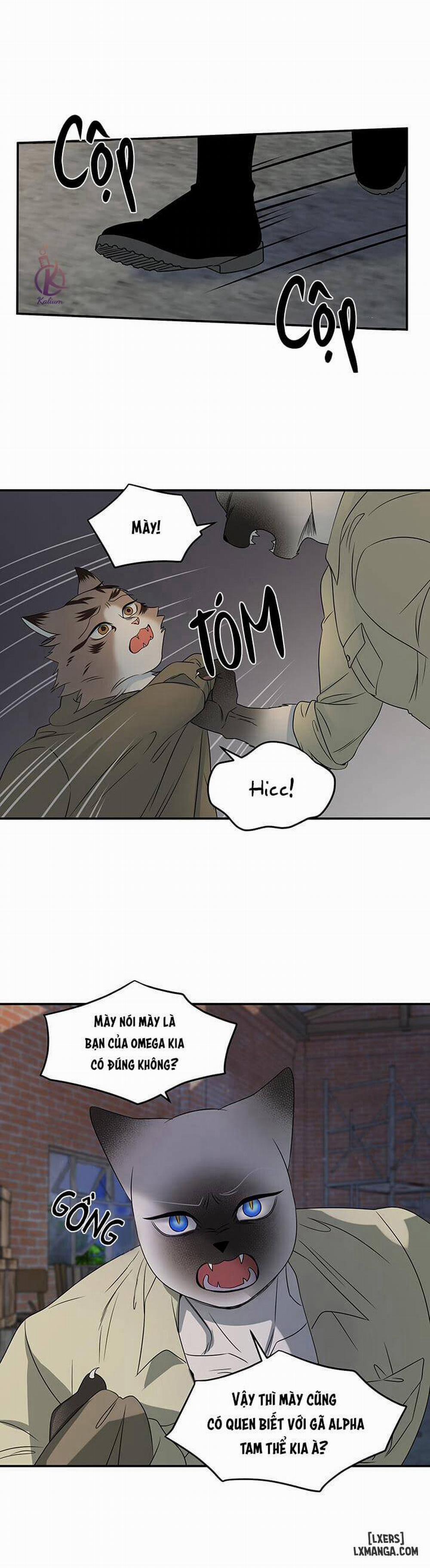 Dự án xanh 15 trang 7