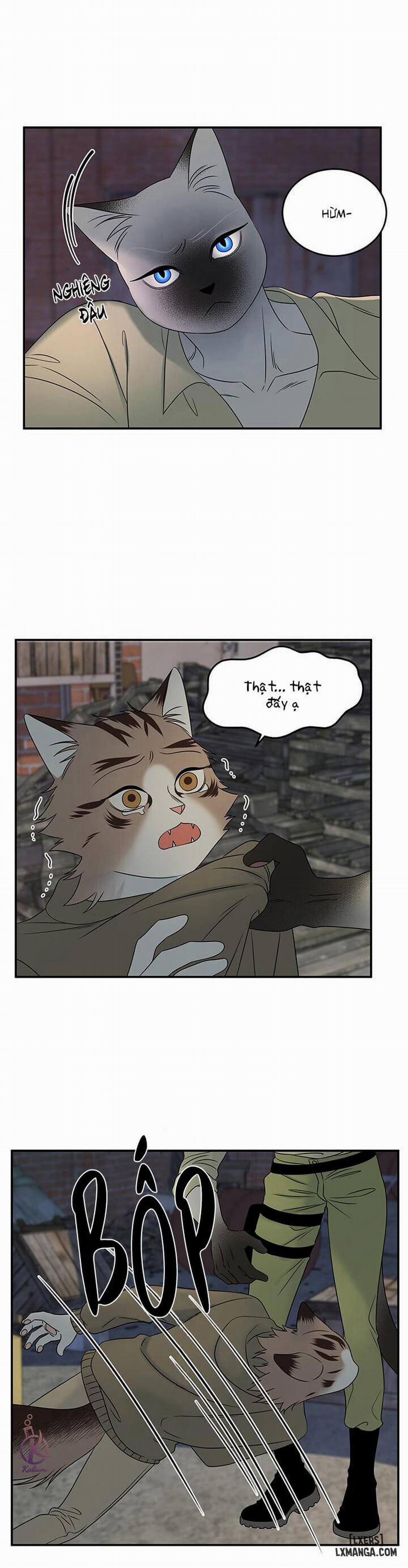 Dự án xanh 15 trang 9