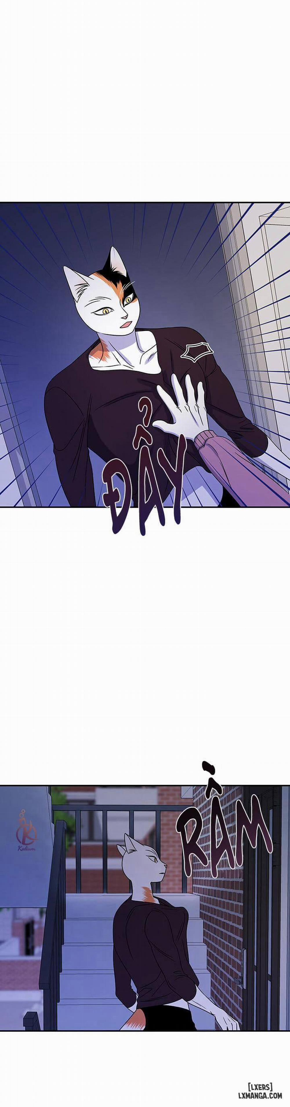 Dự án xanh 16 trang 0