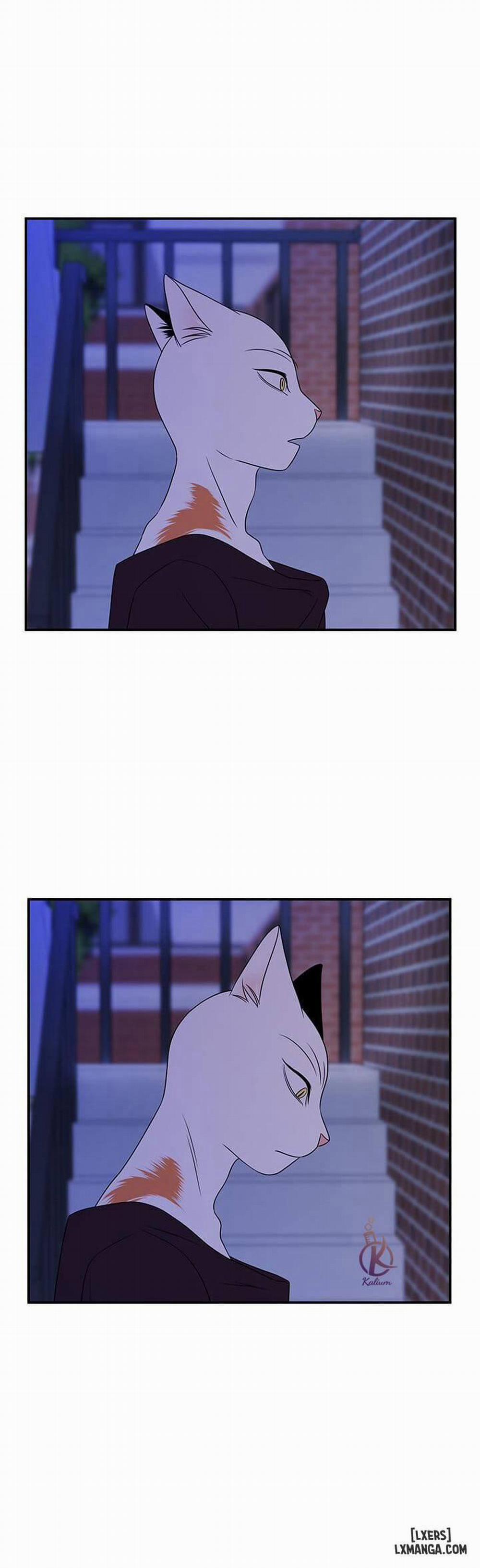 Dự án xanh 16 trang 1