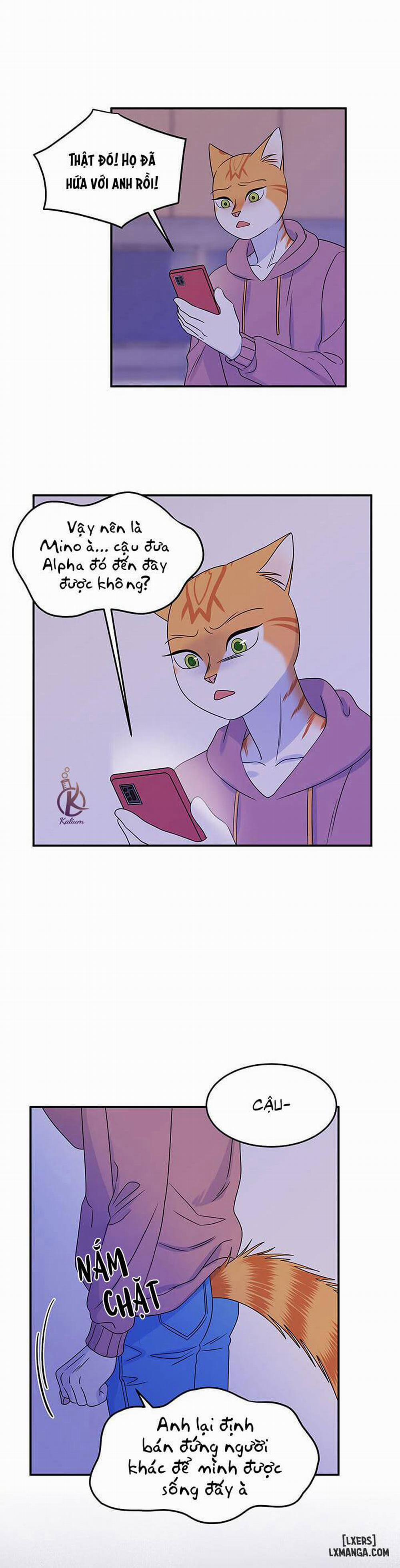 Dự án xanh 16 trang 10