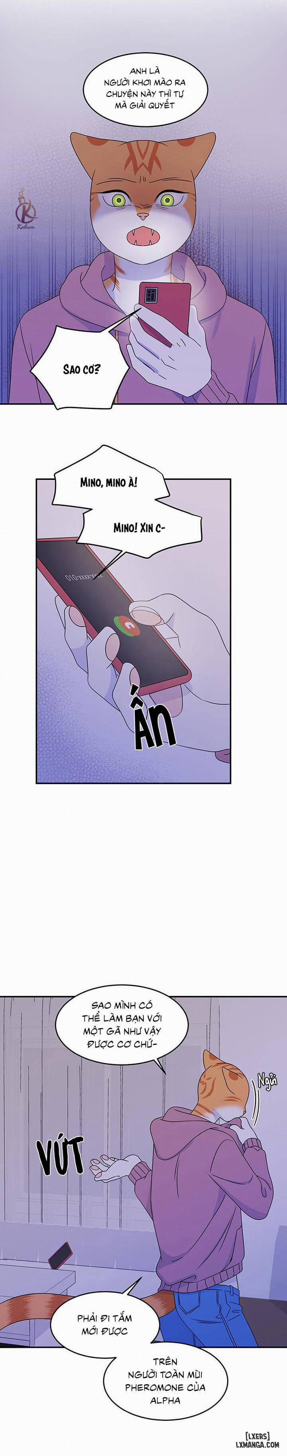 Dự án xanh 16 trang 11