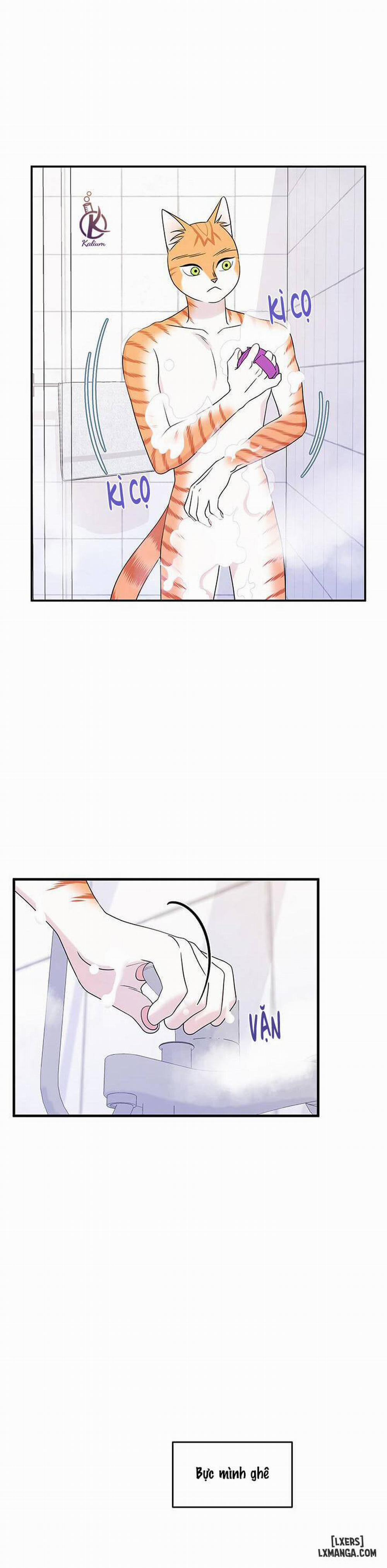 Dự án xanh 16 trang 13