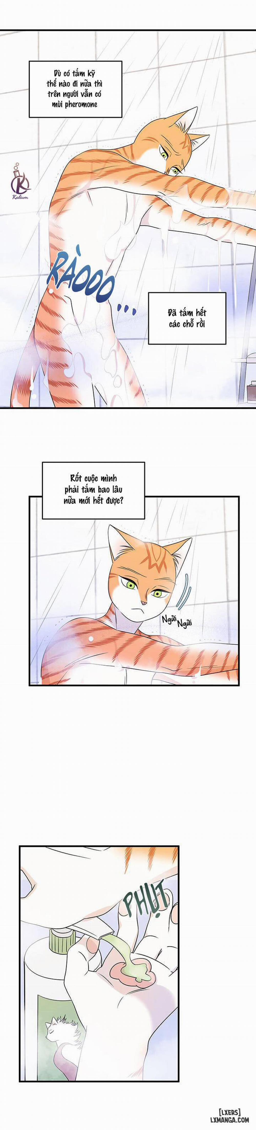 Dự án xanh 16 trang 14