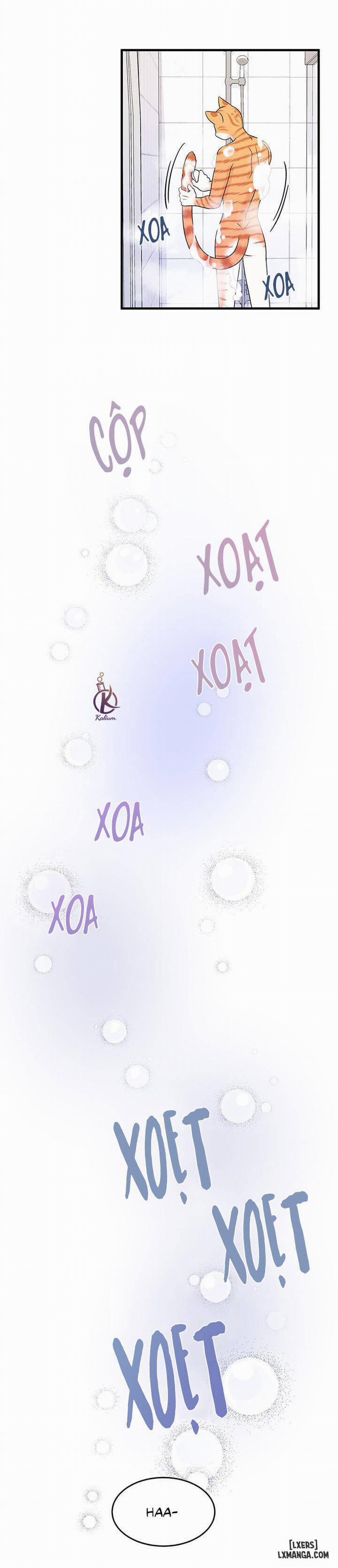 Dự án xanh 16 trang 15