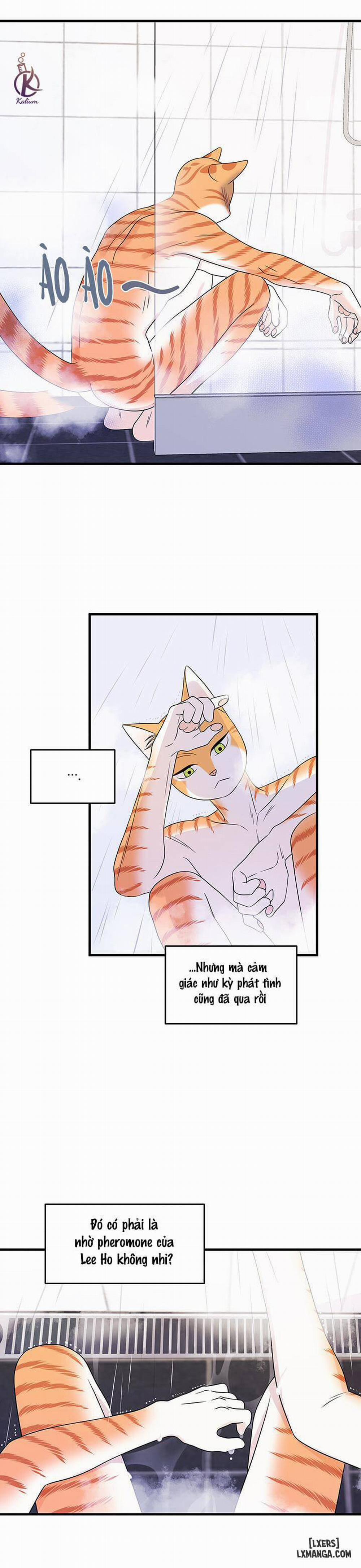 Dự án xanh 16 trang 16