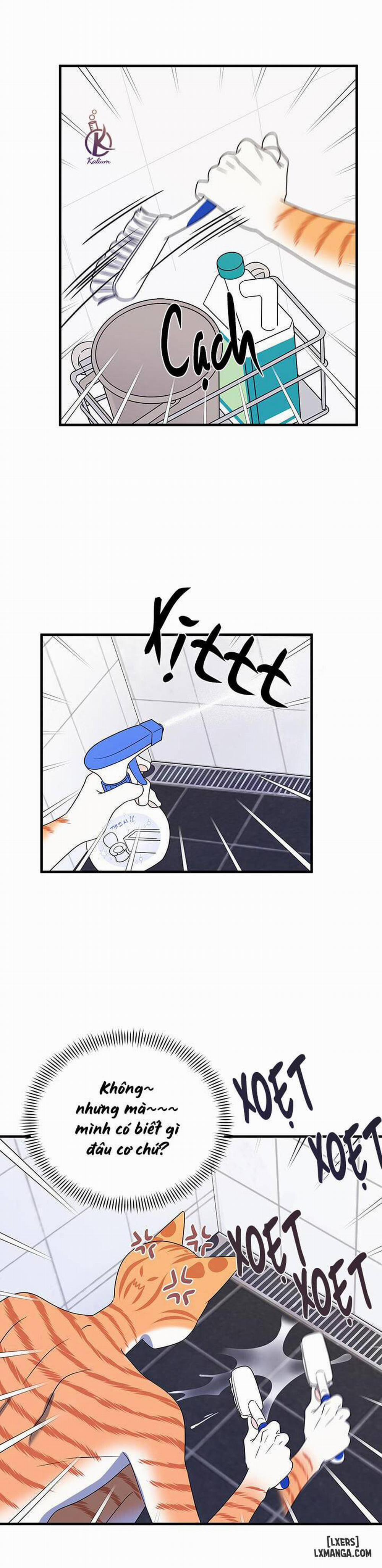 Dự án xanh 16 trang 18