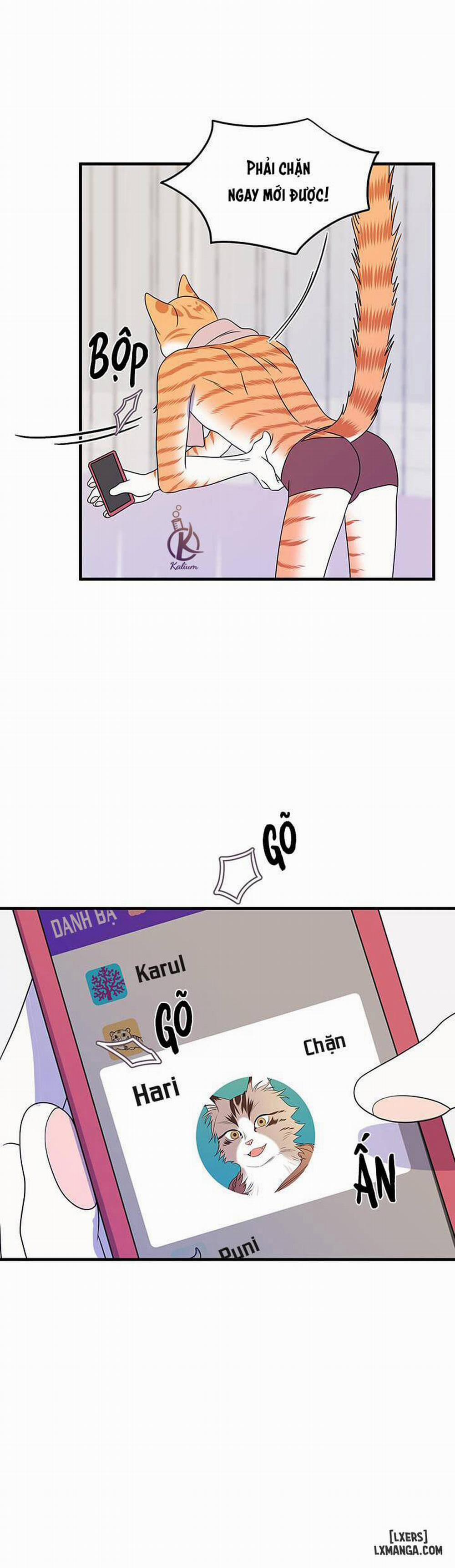 Dự án xanh 16 trang 23