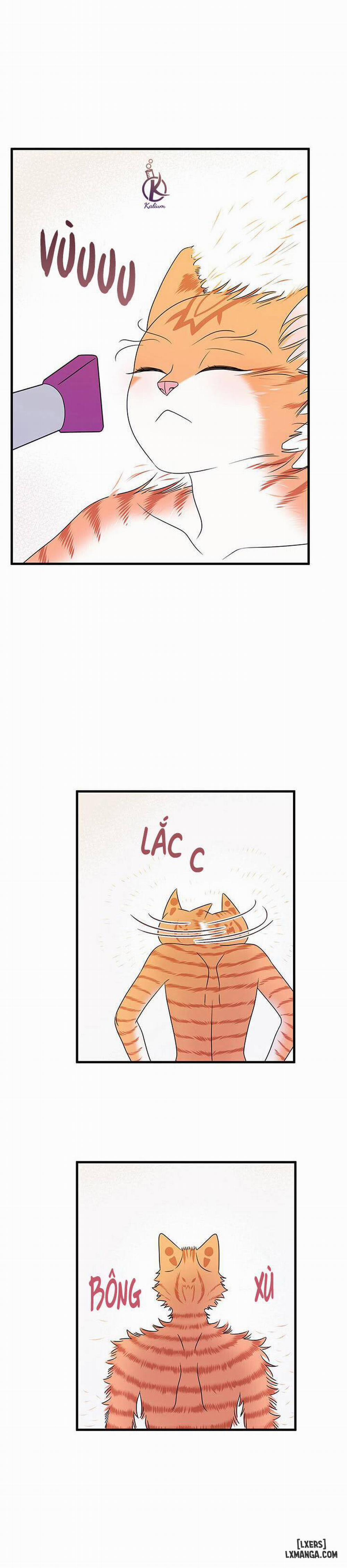 Dự án xanh 16 trang 27